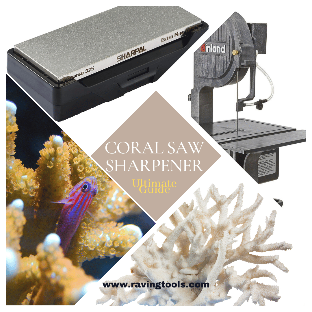 How To Sharpen A Coral Saw - The Ultimate Guide